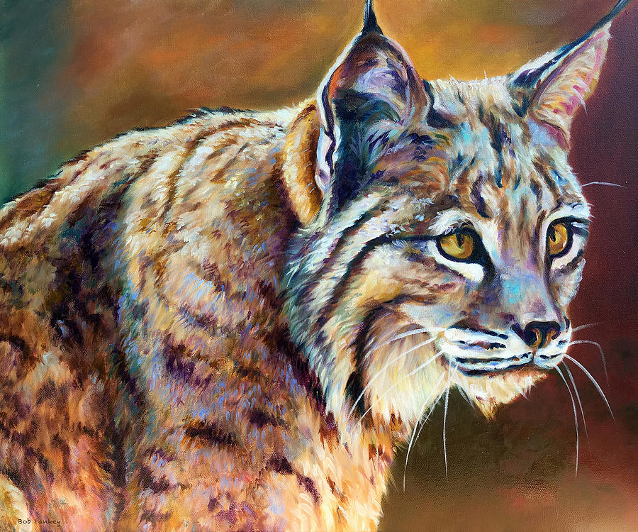 Wildcat Observing by Robert and Jill Pankey