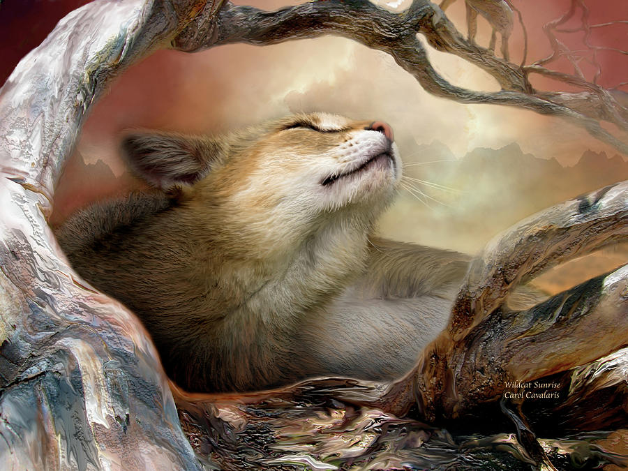 Tree Mixed Media - Wildcat Sunrise by Carol Cavalaris