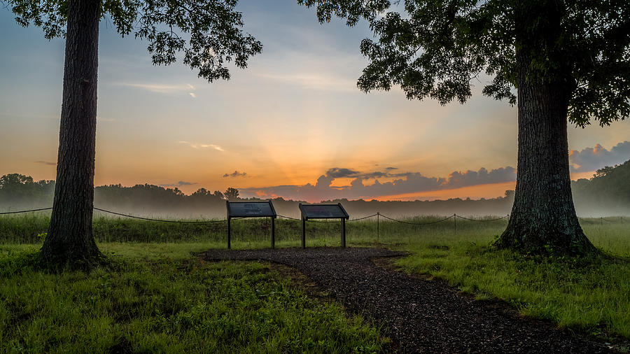 Wilderness Battlefield Sunrise Photograph by Lori Coleman