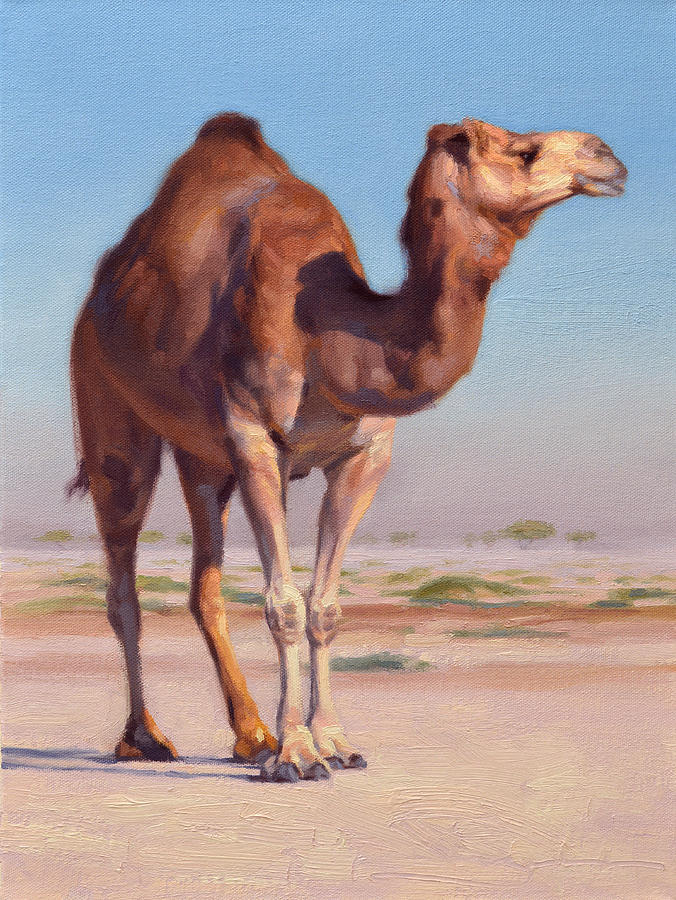Camel Painting - Wilderness Camel by Ben Hubbard