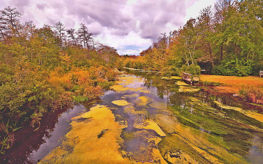 Connetquot Brook Mixed Media by Stacie Siemsen