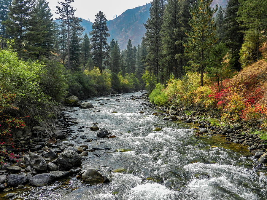 Wilderness creek in Autumn Photograph by Link Jackson