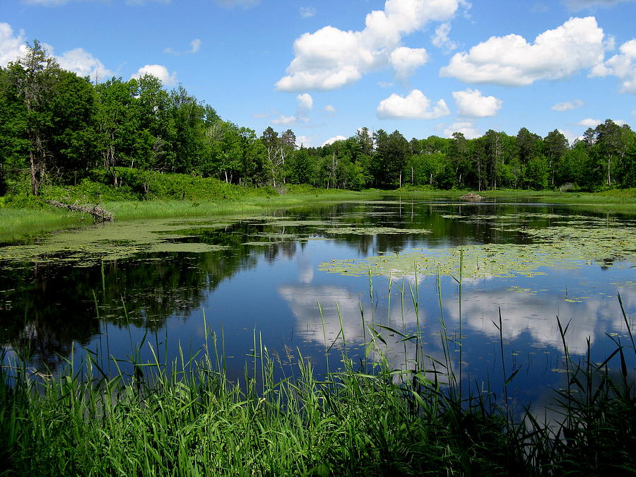 Wilderness Drive in Itasca Photograph by Christopher J Franklin - Pixels