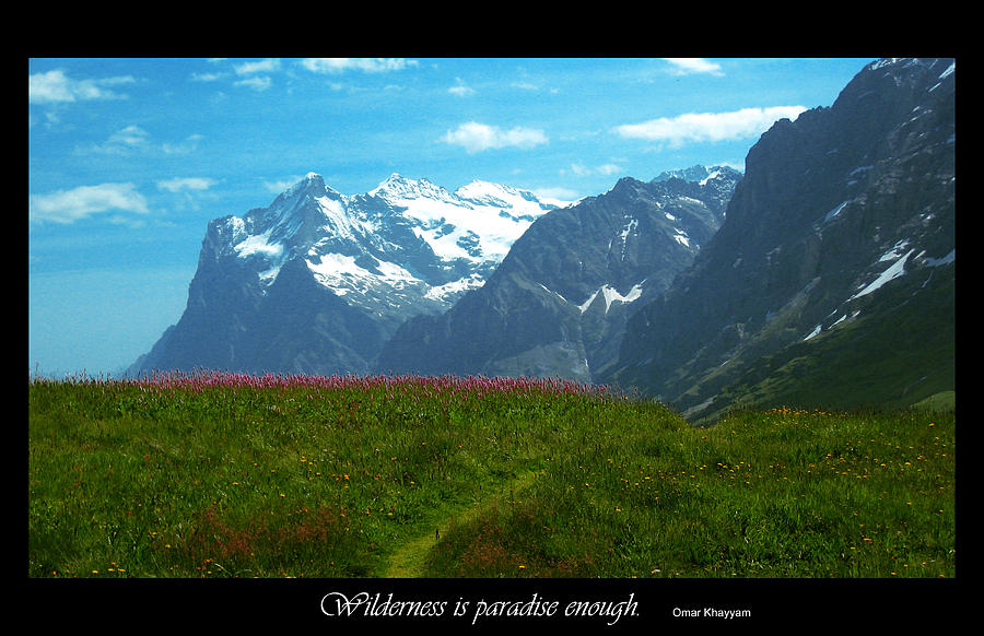 Mountain Photograph - Wilderness Is by Jessica T Peterson