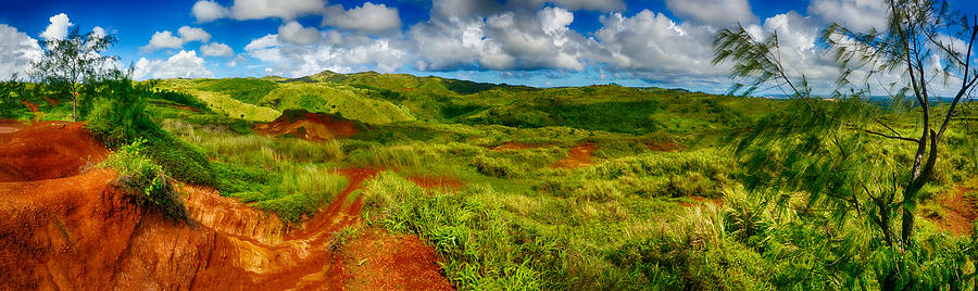 Wilderness of Guam Photograph by Amanda Jones