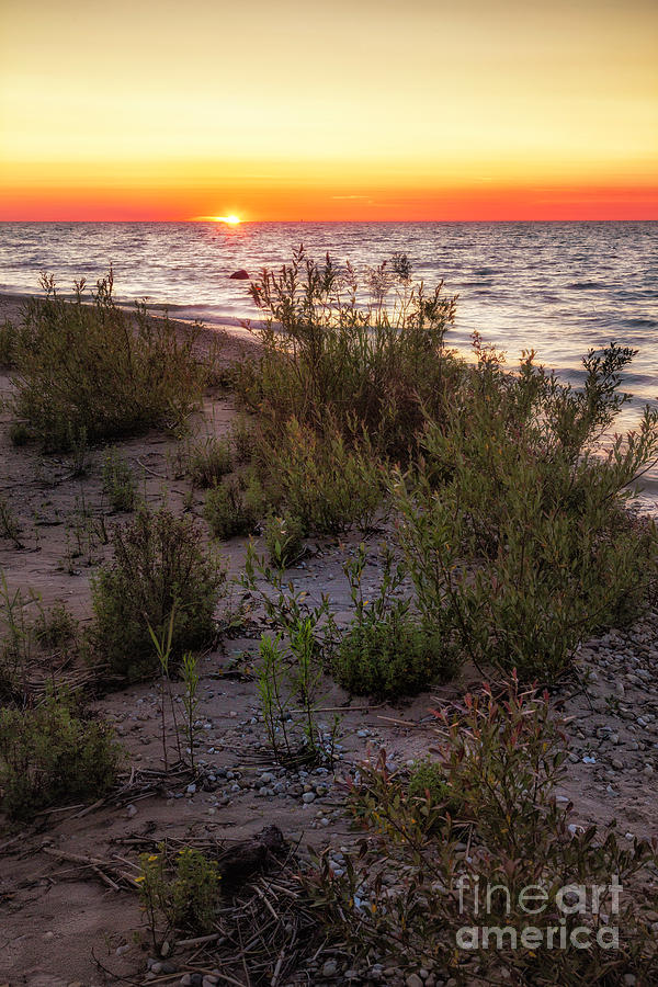 Lake Michigan Photograph - Wilderness Park Sunset 2 by Timothy Hacker
