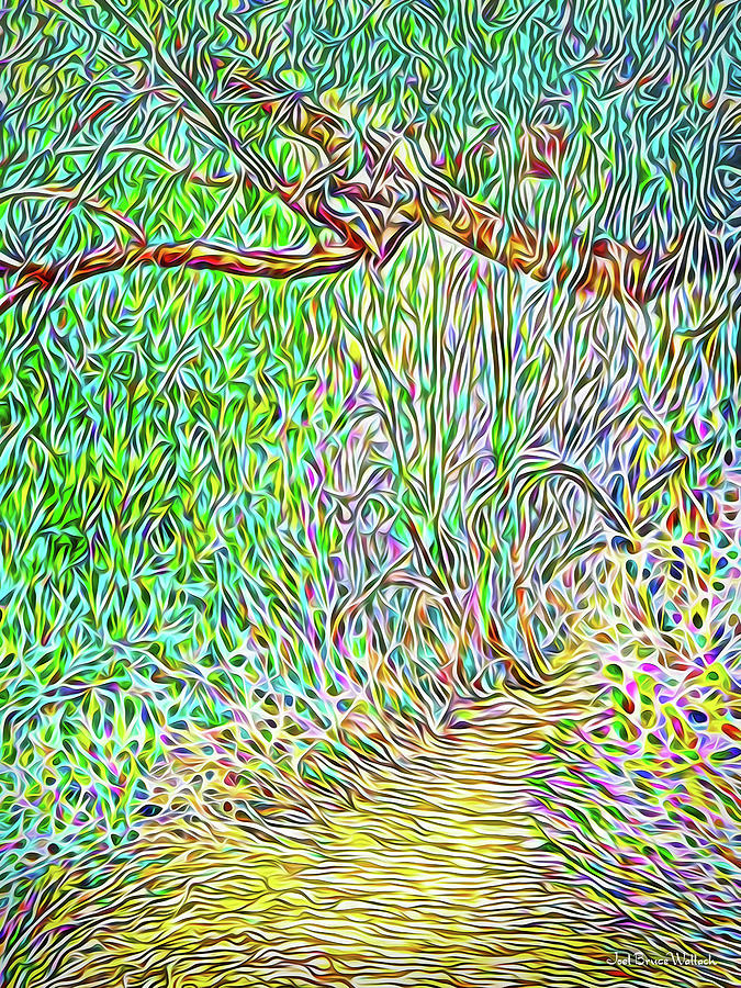 Wilderness Pathway Digital Art by Joel Bruce Wallach