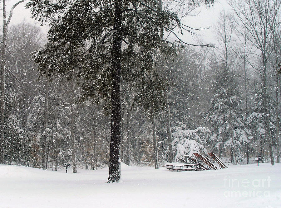 Wilderness State Park Winter Wonderland Photograph by Scott Heister