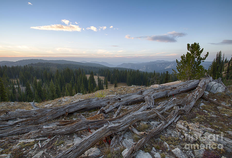 Wilderness Sunrise Photograph by Idaho Scenic Images Linda Lantzy