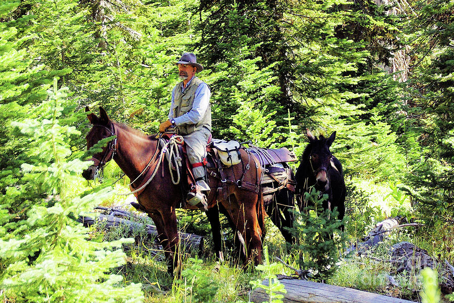 Wilderness Trail Manager Photograph by Don Siebel