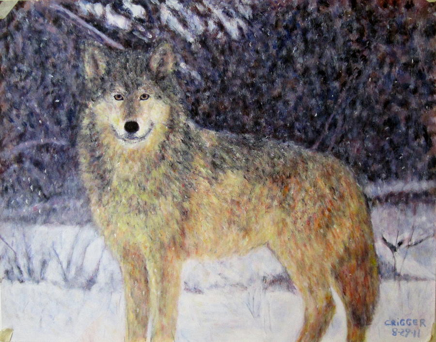 Wilderness wolf Painting by Glenda Crigger