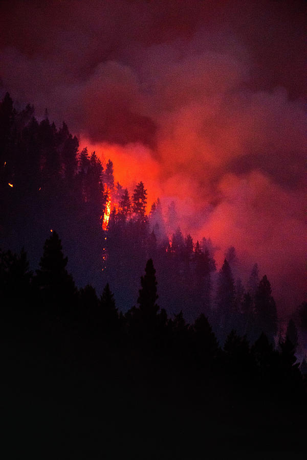 Wildfire Photograph