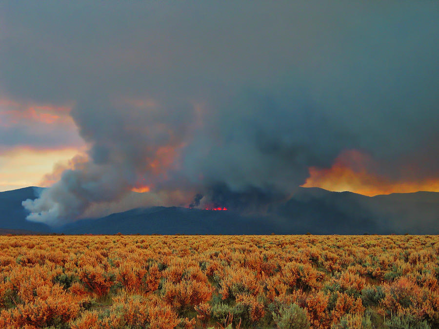 Wildfire - Taos - New Mexico Photograph by Steven Ralser