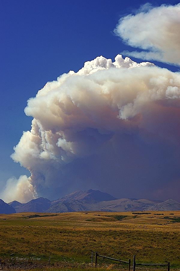 Wildfire Photograph by Tracey Vivar