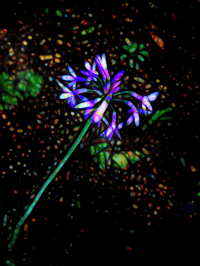 Wildflower Photograph by Ann Powell