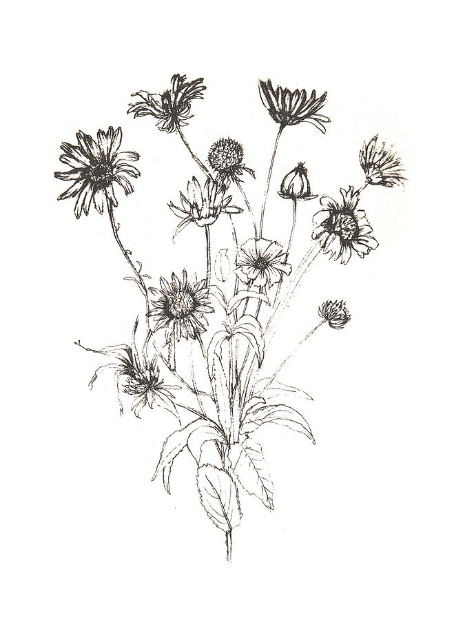 Wildflower Bouquet I Drawing by Ann Rosenthal