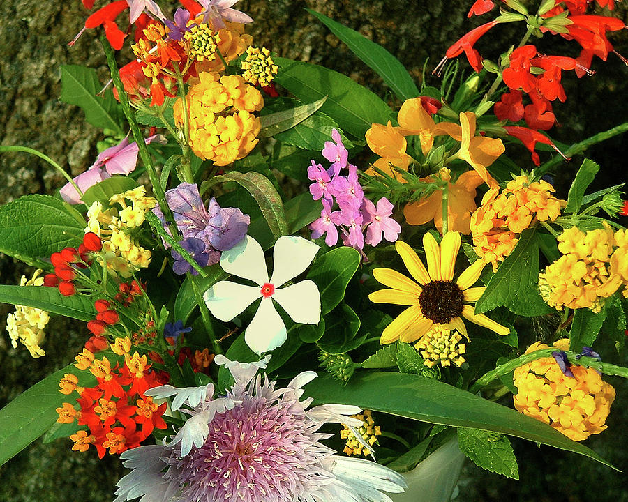 Wildflower Bouquet Photograph by Peggy Urban
