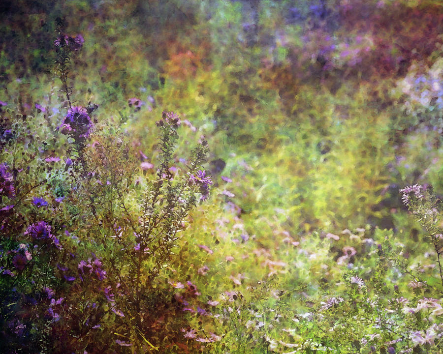 Wildflower Garden Impression 4464 IDP_2 Photograph by Steven Ward
