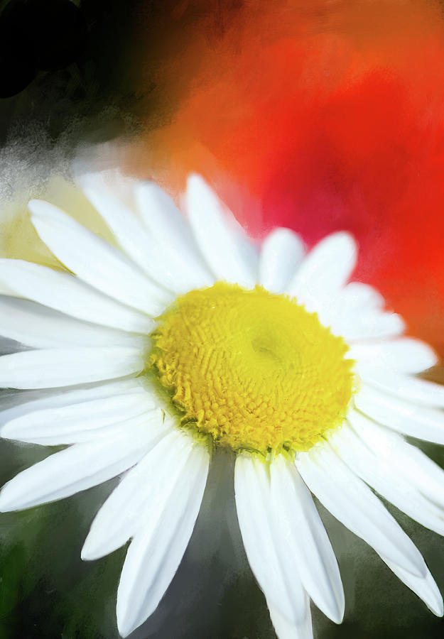 Landscape Photograph - Wildflower by Garvin Hunter Landscape Photograph - Wildflower by Garvin Hunter