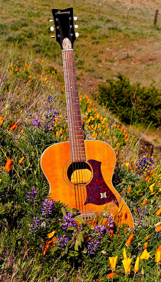 Wildflower Guitar Photograph by Athena Mckinzie
