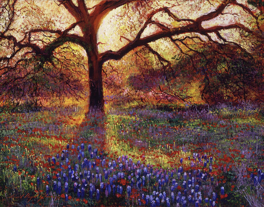 Wildflower Meadow Painting by David Lloyd Glover | Pixels