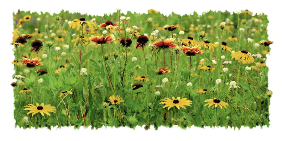 Flower Painting - Wildflower Meadow by JQ Licensing