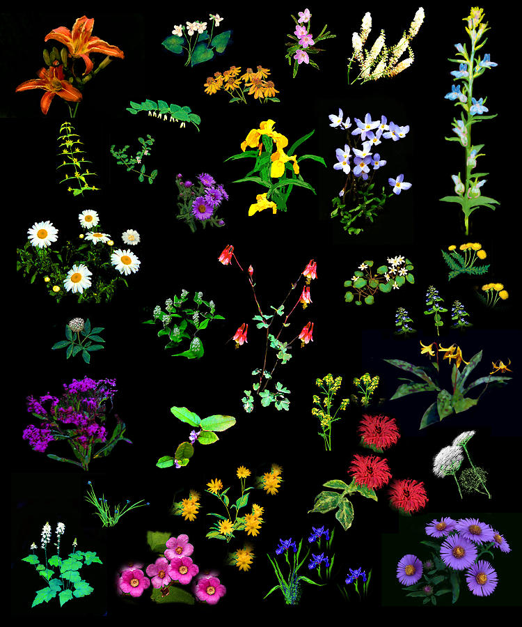 Wildflower Quilt Painting by Diana Ludwig