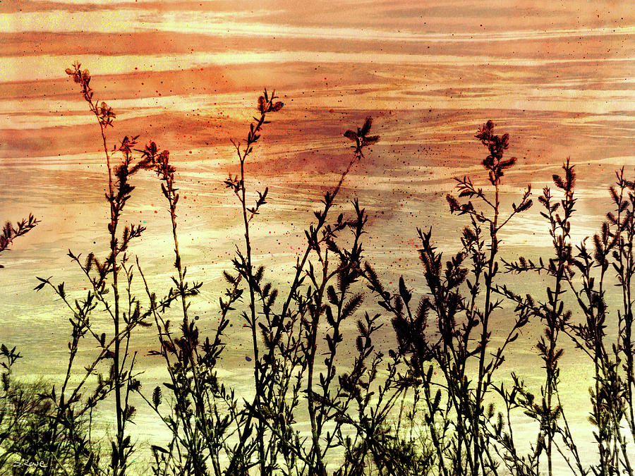 Wildflower Sunrise Digital Art by Shawna Rowe