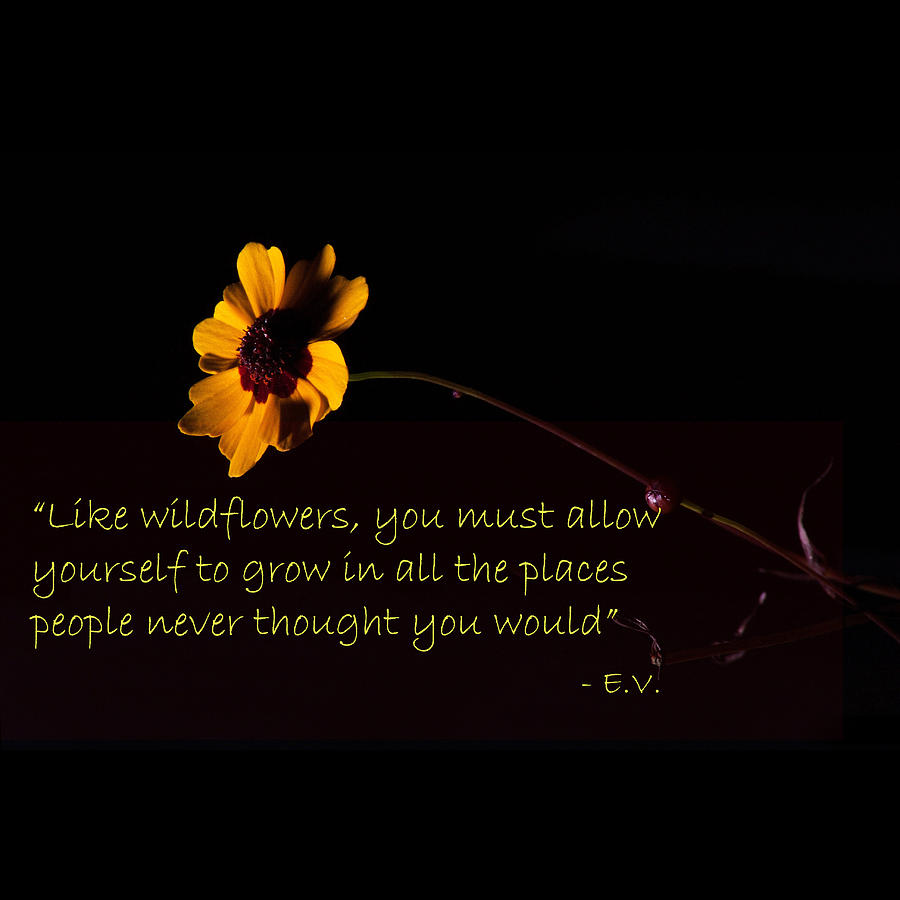 Wildflower w Quote- Square Photograph by Eugene Campbell