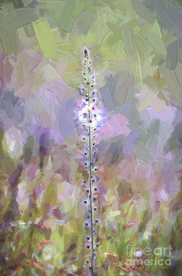 Wildflowers - Abstract Art - Impasto Style Photograph by Kerri Farley