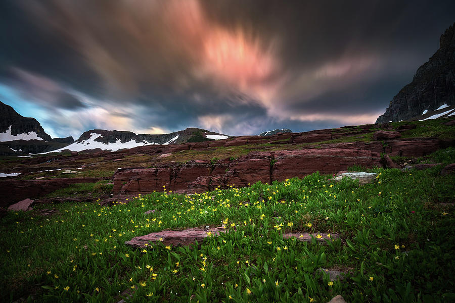 Wildflowers and motion clouds at Glacier National Park Photograph by William Lee