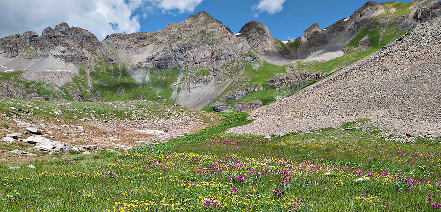 Wildflowers and Peaks Photograph by Alan Toepfer