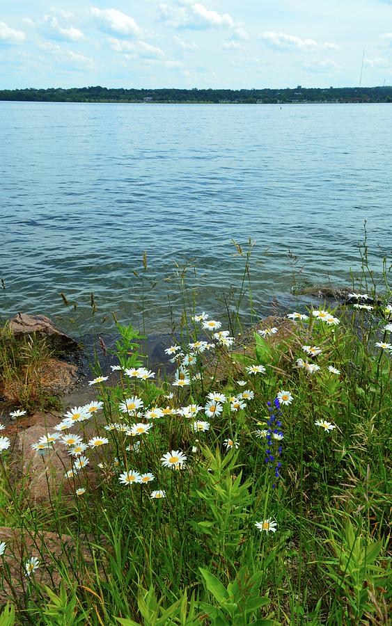 Wildflowers By The Lake  Photograph by Lyle Crump