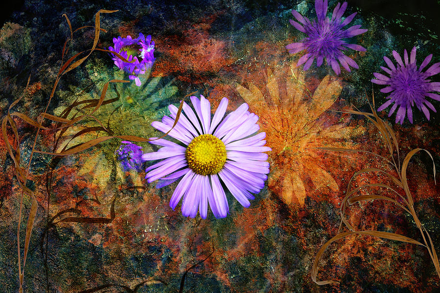 Abstract Photograph - Wildflowers by Ed Hall