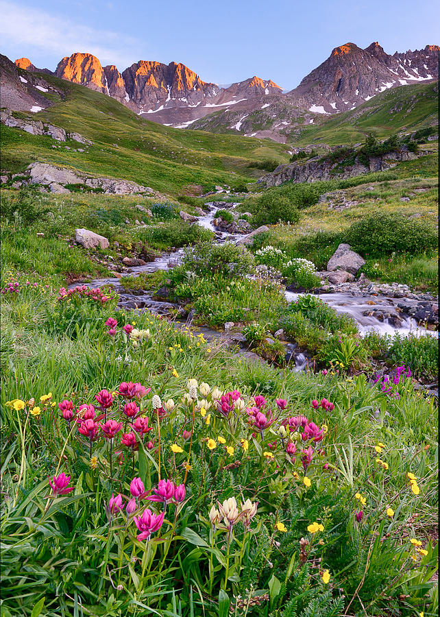 Wildflowers In American Basin Photograph