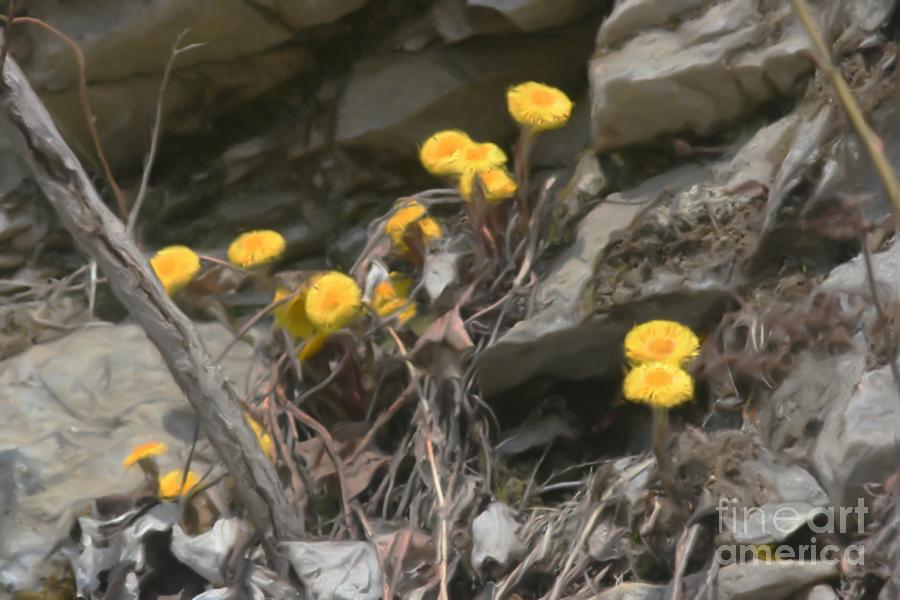 Wildflowers In Rocks Painting by Smilin Eyes Treasures