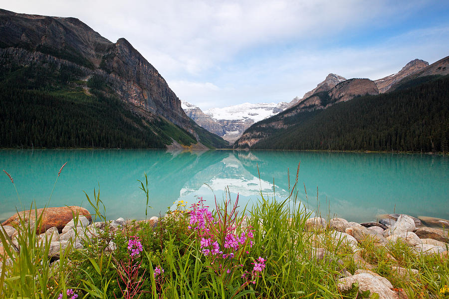 Banff National Park Photograph - Wildflowers on the Lakeshore by George Oze