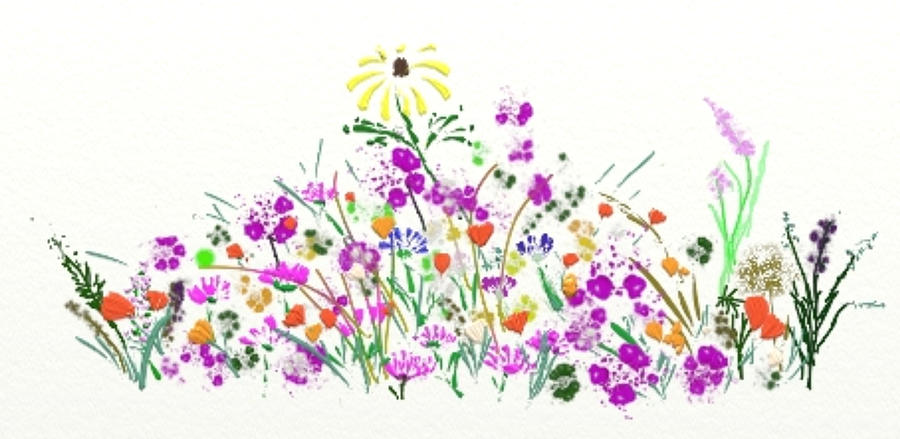 Wildflowers Digital Art by Susan Eileen Evans