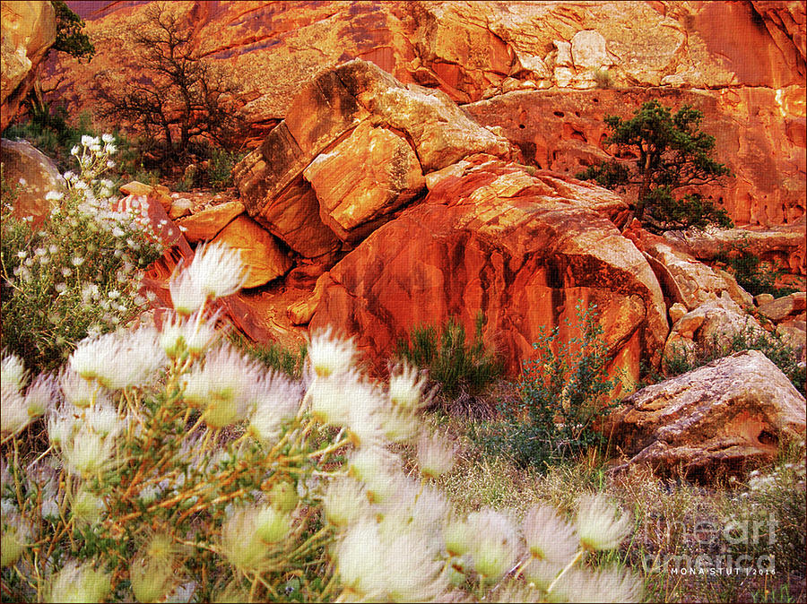 Wildflowers vis-a-vis Rockies Wall Photograph by Mona Stut