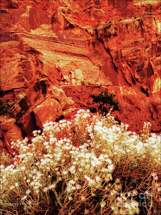 Wildflowers Vis-A-Vis Rocky Wall Photograph by Mona Stut