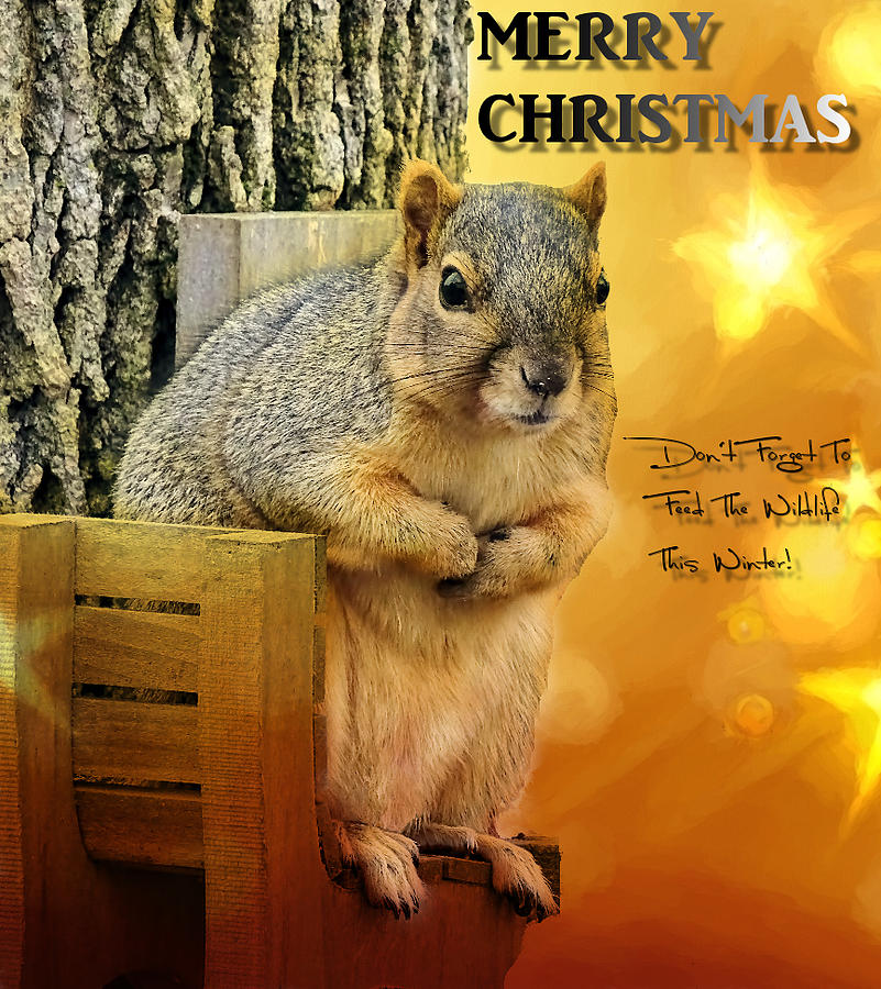 Wildlife Christmas Card Photograph by Theresa Campbell