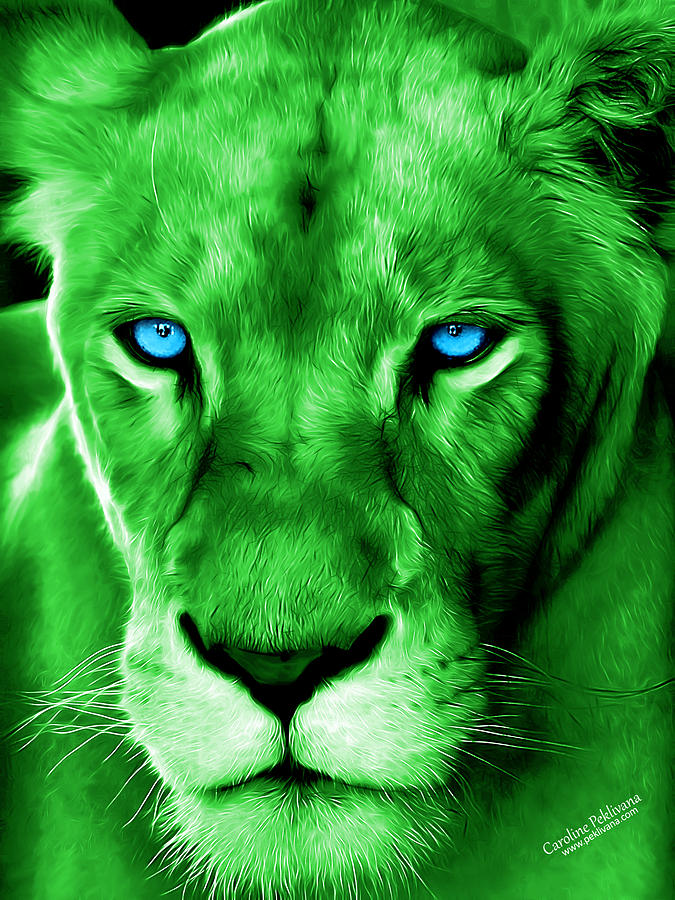 Wildlife Lion 13 Digital Art by Caroline Peklivana