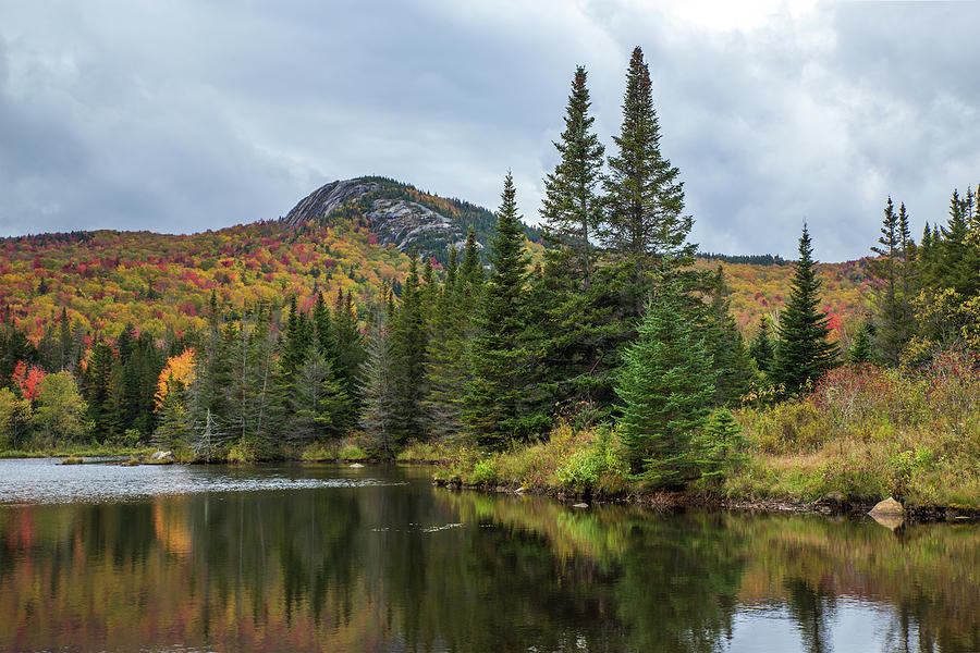 Wildlife Pond Autumn Photograph by White Mountain Images