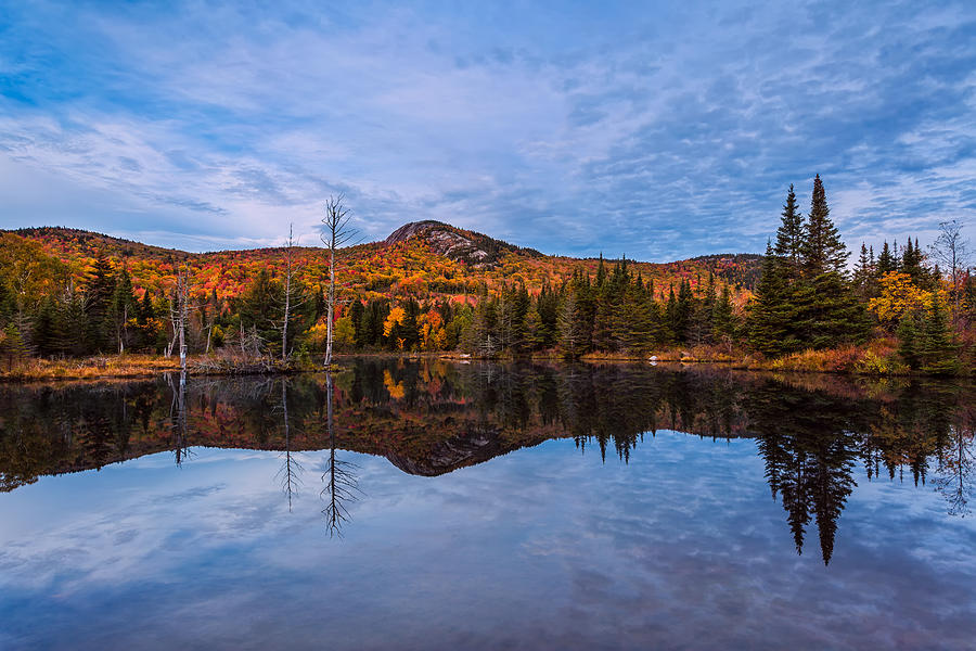 Wildlife Pond Autumn Reflection Photograph by Jeff Sinon