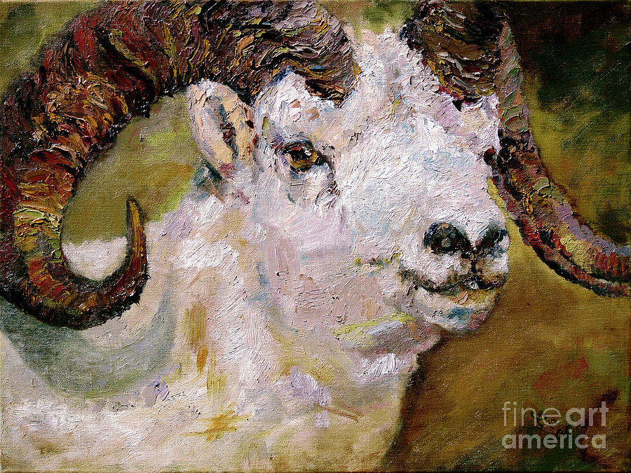 Wildlife Portrait Dall Sheep Ram Painting by Ginette Callaway