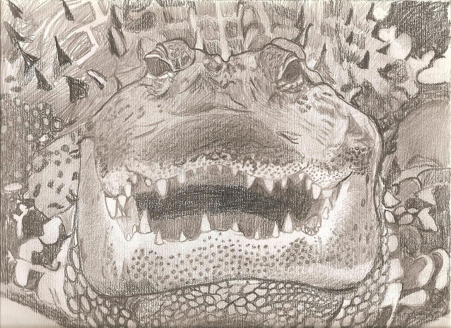 Wildlife Portrait Original Sketch by Pigatopia Drawing by Shannon