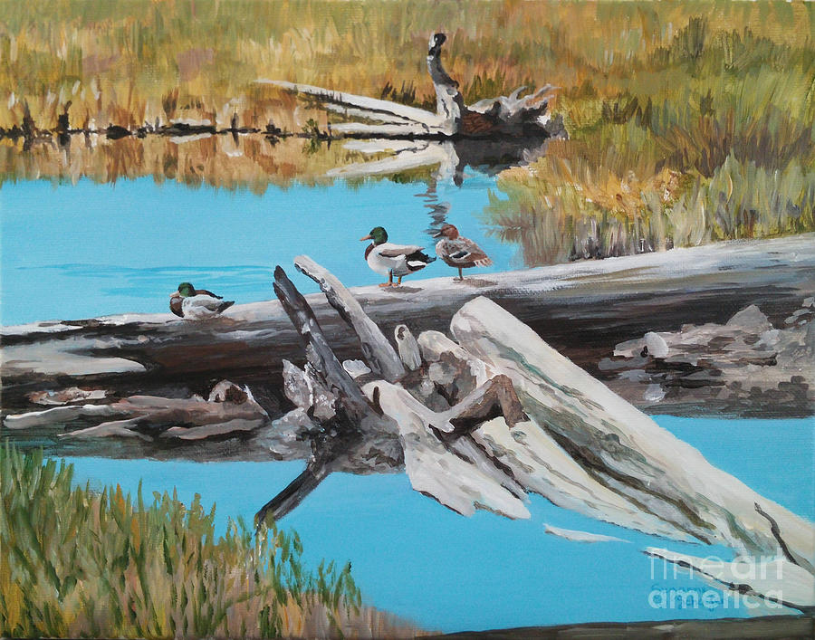 Wildlife Refuge Mallards Painting by Suzanne Schaefer