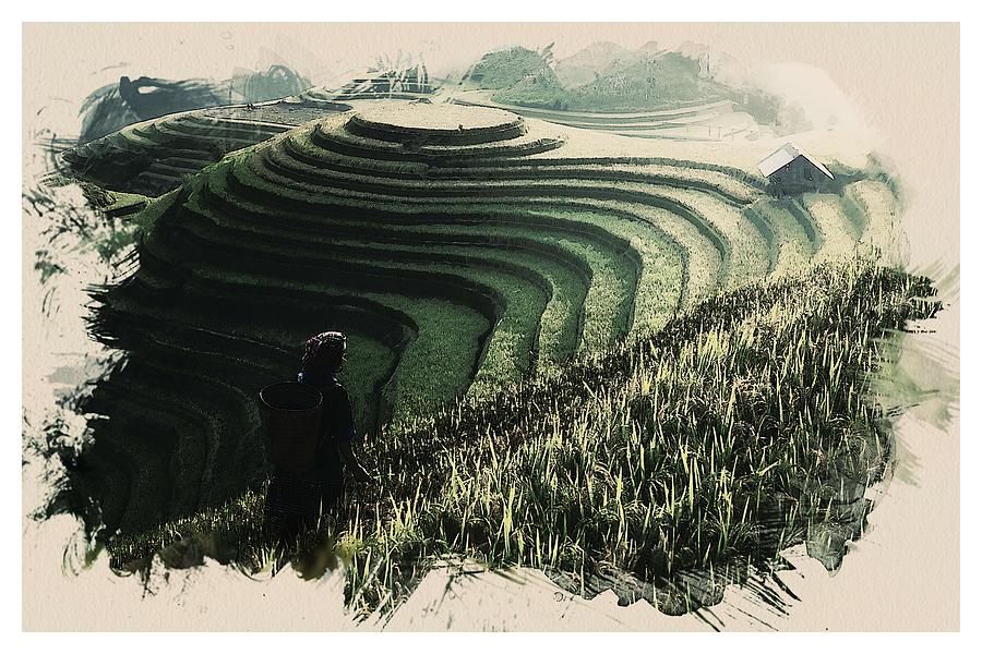 Wildlife Series    Bali Rice Farmer Painting by Celestial Images