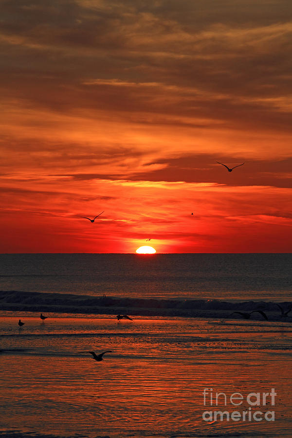 Beach Photograph - Wildwood Crest New Jersey A New Day by John Van Decker
