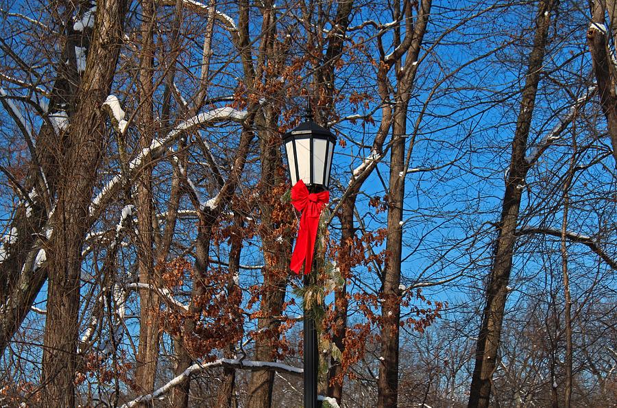 Wildwood Lightpost in Winter III Photograph by Michiale Schneider